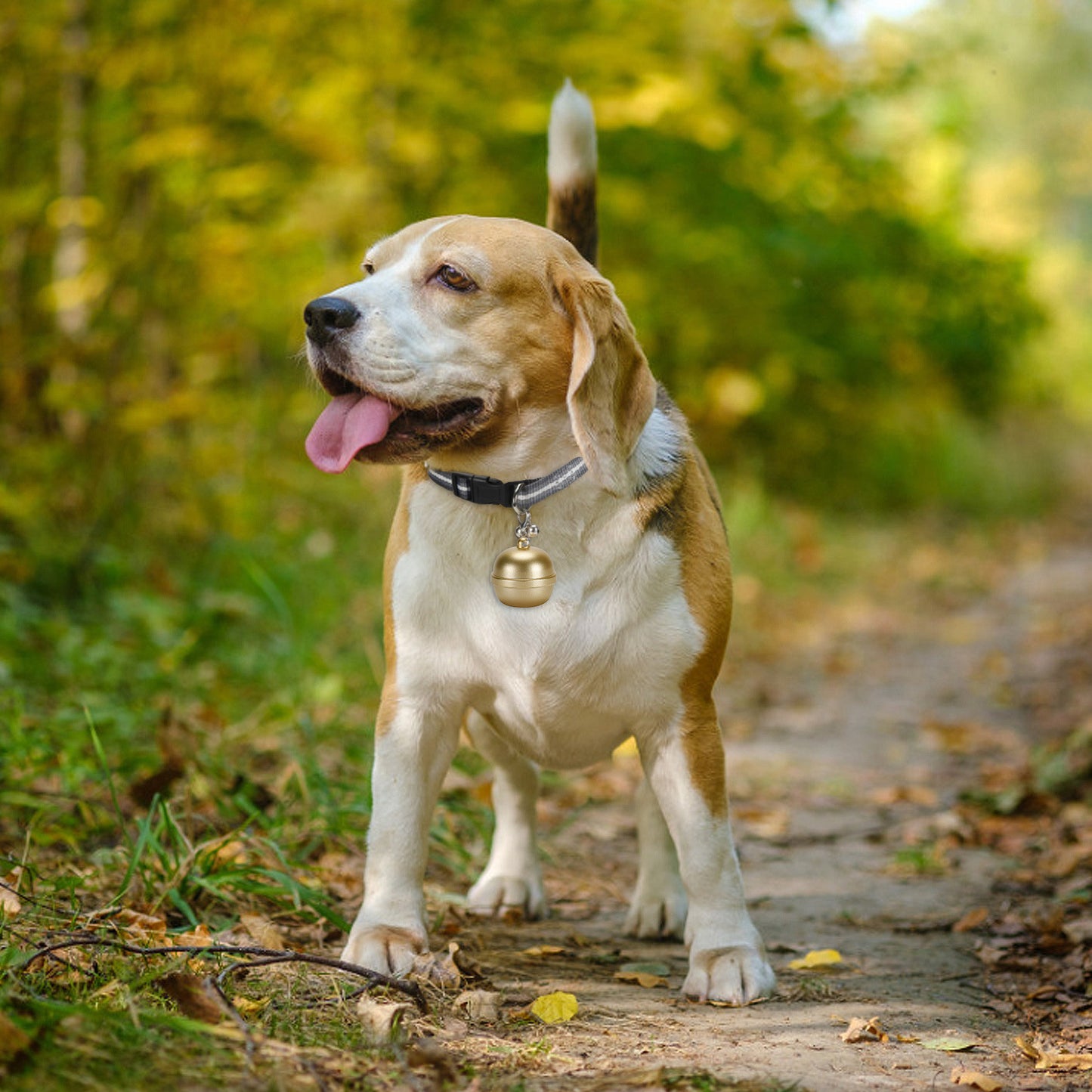 Old People Children Cats And Dogs Lost Waterproof Tracker Pet Locator Pet Collar Bell Anti-Loss Device