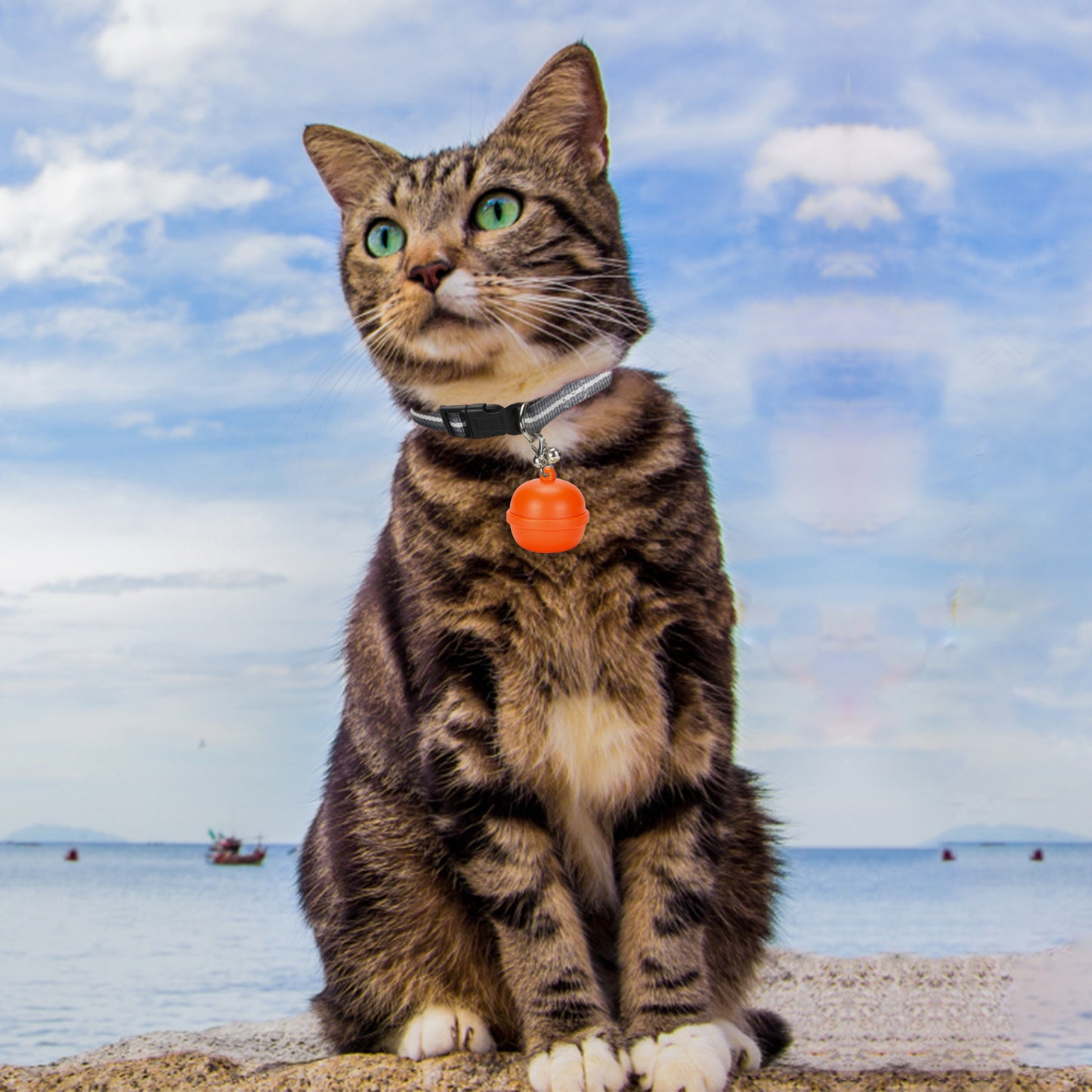 Old People Children Cats And Dogs Lost Waterproof Tracker Pet Locator Pet Collar Bell Anti-Loss Device